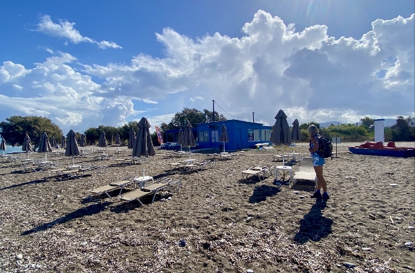 Surfingbird Station 2025
