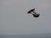 highjump