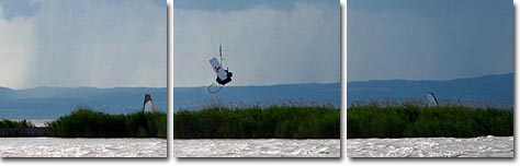 Neusiedlersee Schilf