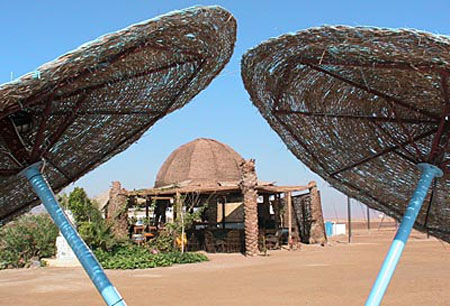 mangroovy_beach_bar_pilze