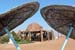mangroovy_beach_bar_pilze