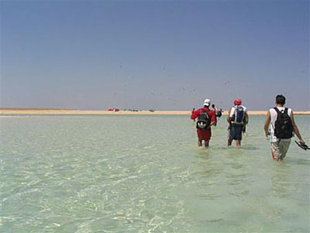 tavilla