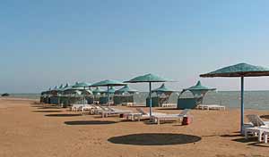 "Strandpilze"