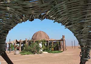 Mangroovy Beach Bar