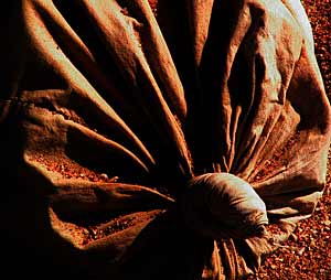 Sack