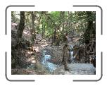 schmetterlingstal * 800 x 600 * (672KB)