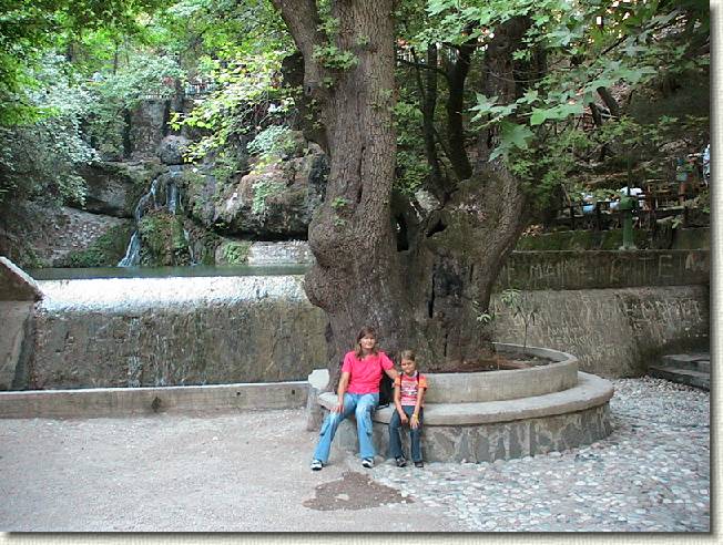 N�chstes Bild