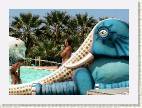 elefant_erwin * 800 x 574 * (603KB)