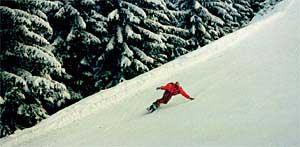 Schladming Detail