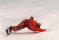 Schladming 1993