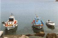 tn_karpa006_jpg.jpg (4760 Byte)