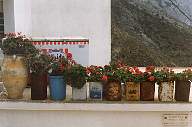 tn_karpa114_jpg.jpg (5592 Byte)