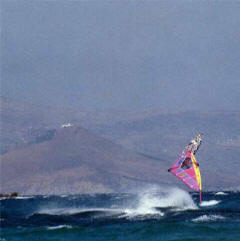 Naxos Sprung